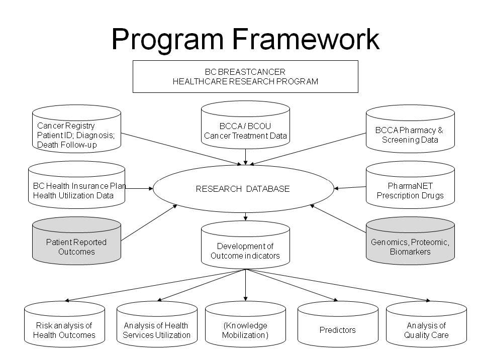 Program framework diagram